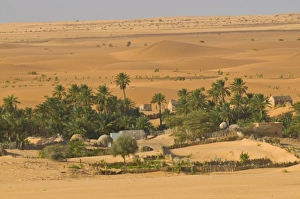 Chinguetti Prints: Little oasis between sand dunes at sunset, near Chinguetti, Mauritania, Africa