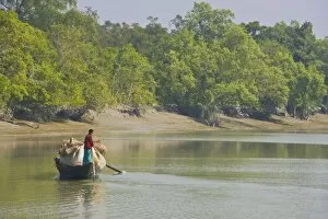 Little rowing boat in the swampy areas of the Sundarbans, UNESCO World Heritage Site