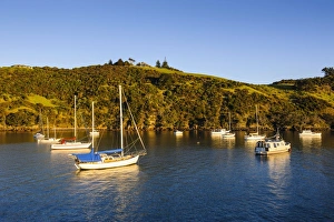 Waiheke Island Prints: Little sailing boats in Matiata Bay on Waiheke Island