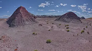 Flat Prints: The Little Teepees on the north side of Haystack Mesa in Petrified Forest National Park