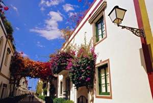 Lane Prints: Little Venice alleys