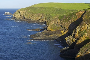 Lizard Point Prints: Lizard Point, The Lizard, Cornwall, England, United Kingdom, Europe