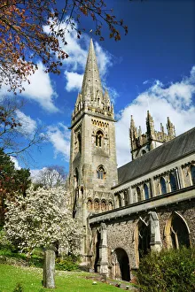 Blossom Prints: Llandaff Cathedral, Cardiff, Wales, United Kingdom, Europe