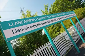 Text Prints: Llanfair PG (Llanfairpwllgwyngyllgogerychwyrndrobwllllantysiliogogogoch) Station