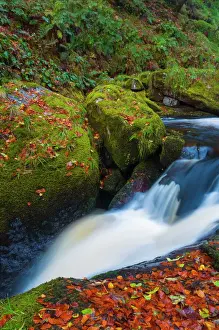 Flowing Prints: Llanrhaeadr ym Mochnant, Pistyll Rhaeadr Waterfalls