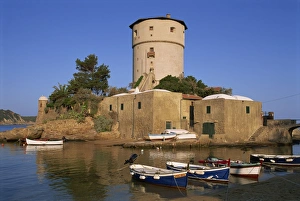 Grosseto Prints: lle de Giglio