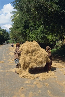 Loading Prints: Loading coir fibre