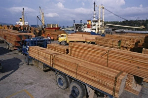 Forestry Prints: Loading timber for export