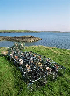 Fishing Prints: Lobster pots