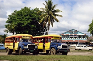 Buses Prints: Local buses on a street in Apia