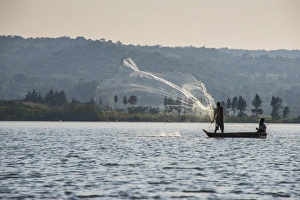 Fishing Net Prints: Local fisherman in a dug-out canoe in Jinja, Uganda, East Africa, Africa