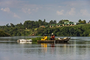 Jinja Prints: Local fisherman in a dugout canoe in Jinja, Uganda, East Africa, Africa