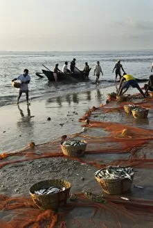 Images Dated 7th November 2006: Local fishermen landing catch, Benaulim, Goa, India, Asia