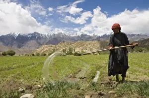 Irrigation Prints: Local woman irrigating her crop in field with mountains in background