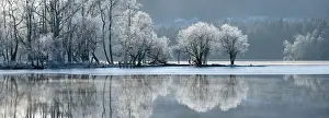 Stirling Prints: Loch Ard partially frozen over and a hoar frost around Aberfoyle in the Loch Lomond