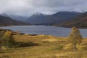 Loch Arklet in autumn, Trossachs, Stirlingshire, Scotland, United Kingdom, Europe