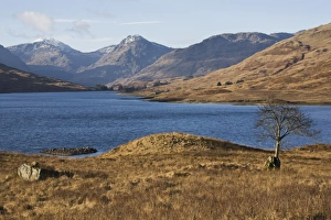 Trossachs Prints: Loch Arklet, Trossachs, Scotland, United Kingdom, Europe