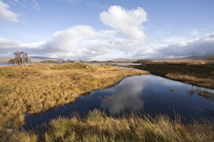 Images Dated 28th October 2009: Loch Ba in autumn, Rannoch Moor, near Glencoe, Highlands, Scotland