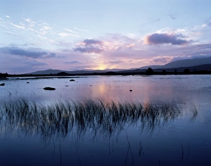 Loch Ba at sunrise
