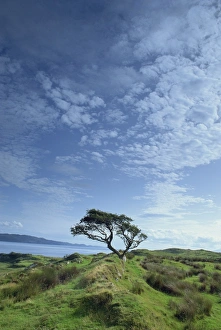 Strathclyde Prints: Loch Craignish from Craignish Point