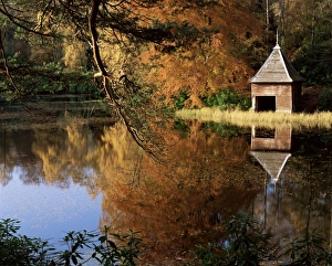 Highland Prints: Loch Dunmore