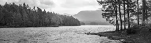 Panorama Gallery: Loch an Eilein, Aviemore, Cairngorms National Park, Scotland, United Kingdom, Europe