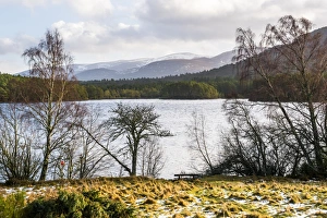 Aviemore Prints: Loch an Eilein with Cairngorm Mountain behind, Aviemore, Cairngorms National Park