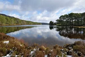 Images Dated 4th March 2008: Loch an Eilein, near Aviemore, Cairngorms National Park, Highlands, Scotland