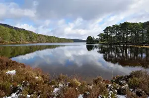 Highlands Prints: Loch an Eilein, near Aviemore, Cairngorms National Park, Highlands, Scotland