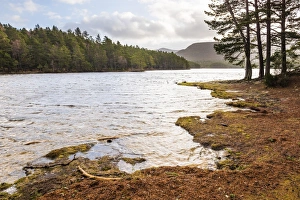 Loch an Eilein and the Rothiemurchus Forest, Aviemore, Cairngorms National Park, Scotland