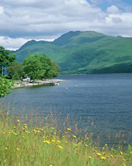 Images Dated 8th August 2008: Loch Lomond and Ben Lomond from north of Luss