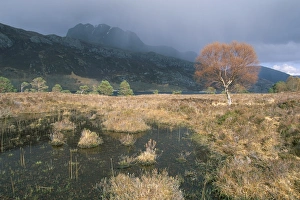 Loch Maree