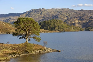 Loch Morar, Highlands, Scotland, United Kingdom, Europe