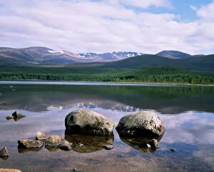 Images Dated 8th August 2008: Loch Morlich and the Cairngorms
