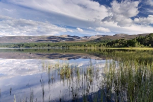 Loch Morlich Prints: Loch Morlich, Glenmore, Badenoch and Strathspey, Scotland, United Kingdom, Europe