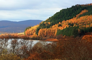 Rich Prints: Loch Naver, Sutherland, Highland, Scotland, United Kingdom