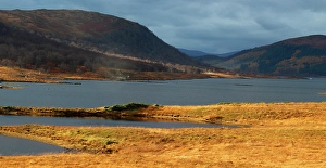 Grasses Prints: Loch Naver, Sutherland, Highland, Scotland, United Kingdom
