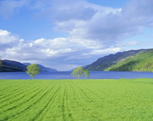 Highlands Region Prints: Loch Ness from the western end