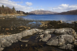 Argyll Prints: Loch Sunart, looking east, Argyll, Scotland, United Kingdom, Europe