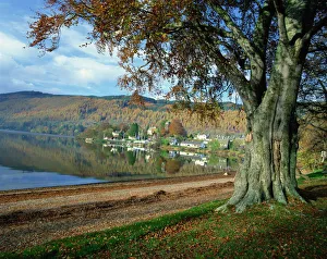 Loch Prints: Loch Tay, Kenmore, Tayside, Highlands, Scotland, United Kingdom, Europe