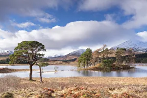 Calmness Prints: Loch Tulla, Bridge of Orchy, Glencoe, Argyll and Bute, Scotland, United Kingdom, Europe
