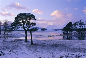 Highlands Region Prints: Loch Tulla in winter