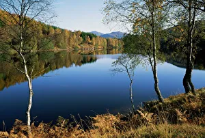 Tayside Prints: Loch Tummel