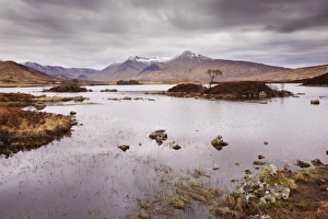 Black Mount Prints: Lochan na h Achlaise and Black Mount, Rannoch Moor, Highland, Scotland
