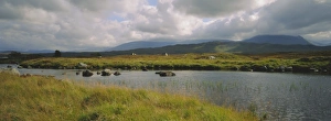 Motionless Prints: Lochan na h-Achlaise and the mountains of the Black Mount