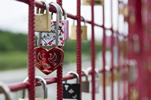Love Gallery: Locks of love, Maribor, Slovenia, Europe