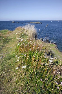Cotes Darmor Prints: Locquirec, Armorican Corniche, Amorique Coast, Finistere, Brittany, France, Europe