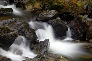 Falls Prints: Lodore Falls waterfalls, Borrowdale Valley