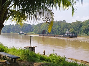 Shades Prints: Logging barge on the Kinabatangan River