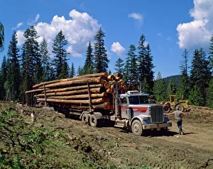Industry Prints: Logging truck, British Columbia, Canada, North America